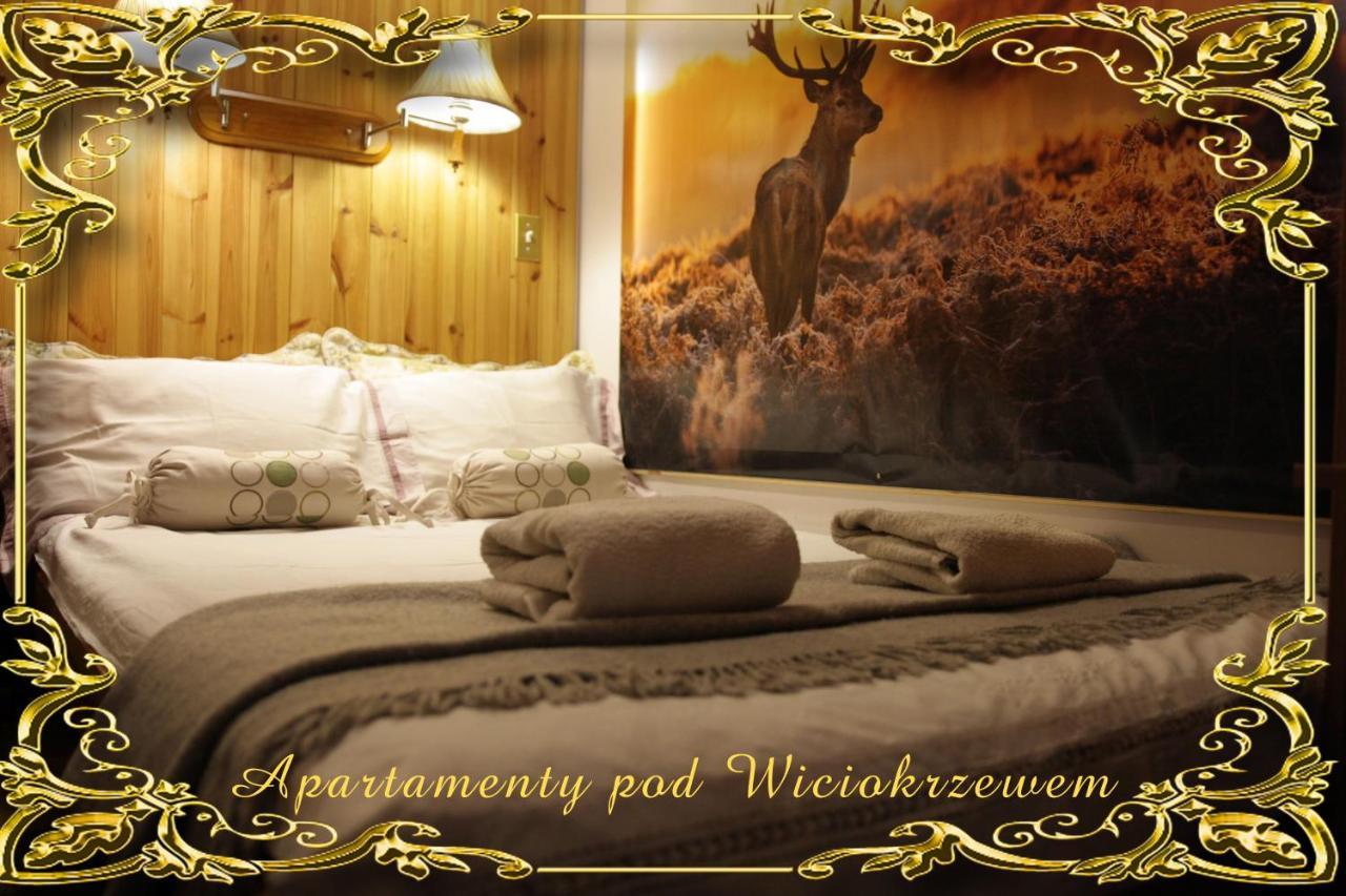 Apartamenty Pod Wiciokrzewem Supraśl Extérieur photo